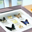 홍천세무서 이미지