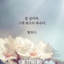 6월 17일(월)아침을 여는 건강한 에코힐링(글 전체보기는 글주소 클릭!) 이미지