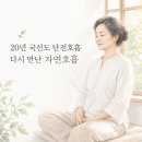 국선도 | 20년 국선도 단전호흡 수련 후기, 다시 만난 자연호흡의 묘미