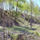 미리내농장 이미지