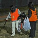 [포착] 치우겠지, 엉덩이만 털고 일어난 불꽃축제..시민의식 제자리 이미지