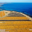 소한목장 이미지