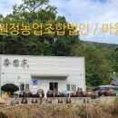 행원정 농업조합법인