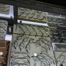 태극안경콘택트(죽동점) | 대전 유성 안경점 "태극안경 죽동점" _ 림락 안경 전문 판매점