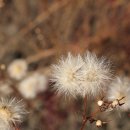 신현펌프장 이미지