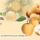 내수농협하나로마트