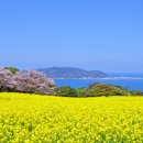 행복예감 이미지