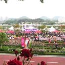 장미매점 이미지