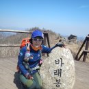 지리산 바래봉 전북 남원,구례 산수유축제,섬진강 벗꽃마을 2016, 03 ,30일 산행 이미지