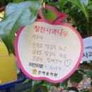 은아유치원 이미지