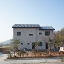 상사의숲 이미지