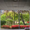10/26 삼베실 수세미 뜨개질 | 봄날의 곰을 좋아하세요?ʕ·ᴥ·ʔㅣ롤러코스터, 클래지콰이, 윤상, 박혜경, 러브홀릭 들으며 쓰는 주간일기