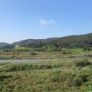 청미천 2 이미지