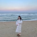 룰루 애견샵 | 임신 17주차 기록｜생일주간, 강릉여행, 첫 태동