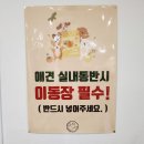 논산애견 이미지