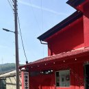 카페애룡호수 | 애룡호수 산책 후 카페 한잔｜카페애룡호수더레드 솔직후기
