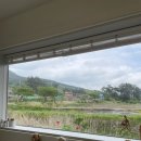 장부다리주유소 이미지