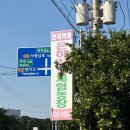 은하네농장 | 제주 서귀포 예약없이 체험 가능한 가성비 최고 은하감귤체험농장