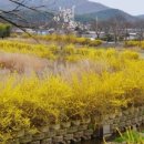 담양고등학교 이미지