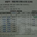 농암대2 Daum카페
