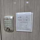 스포츠파크 | 영월 스포츠파크 수영장 주말 자유수영 후기