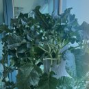 가든타워 이미지