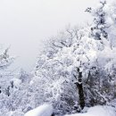 겨울 산행지 추천할만한곳 이미지