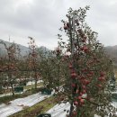 해영농장 이미지