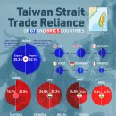 G7과 BRICS 국가들은 대만 해협에 얼마나 의존하고 있을까? 이미지