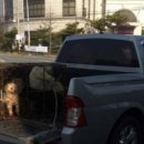 연합동물병원 이미지