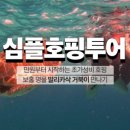 비바투어 - 하남시 미사강변중앙로 174 | 비바투어