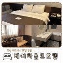 더 하운드 호텔 | 부산 영도 비즈니스호텔 추천 베이하운드 호텔 내돈내산 추천후기