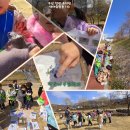 정관아이숲유치원 이미지