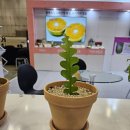 용주축산 이미지