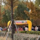 완주군장애인복지관 | 부산시각장애인마라톤 봉사, 러너를 위한 자원봉사 추천