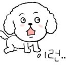 야옹아멍멍해봐호수점