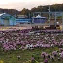 마장두레마을협동조합 이미지