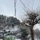 밤골농장 네이버블로그