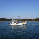 곰섬올레 이미지