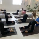 새롬메디 이미지