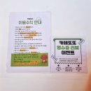 진성애견용품 | 방학 필수 코스! 창원 또또카페 4년째 단골의 찐 후기