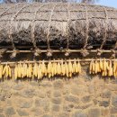 함박꽃민속촌 이미지