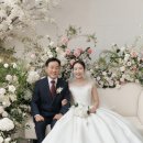 꼼나나브라이드대구