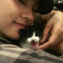 재학축산 이미지