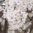 부귀리 마을회관 이미지