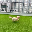 옐레드 송파헬리오시티점 이미지