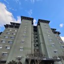 파인리조트 | 강릉 숙소 라카이 샌드파인 리조트 트리오룸 숙박 후기