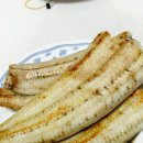 비장어 장어 이미지