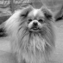 명랑약국 이미지