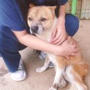 평화초등학교 이미지